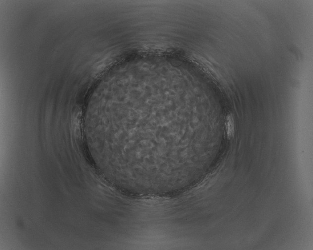 X0000116571059200912241630