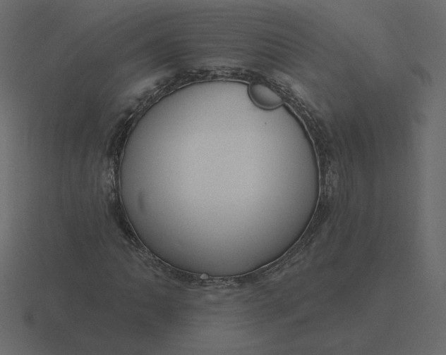 X0000116571062200912241630