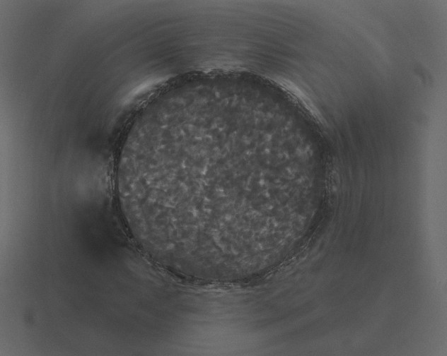 X0000116571063200912241630