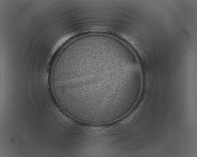 X0000116571066200912241630