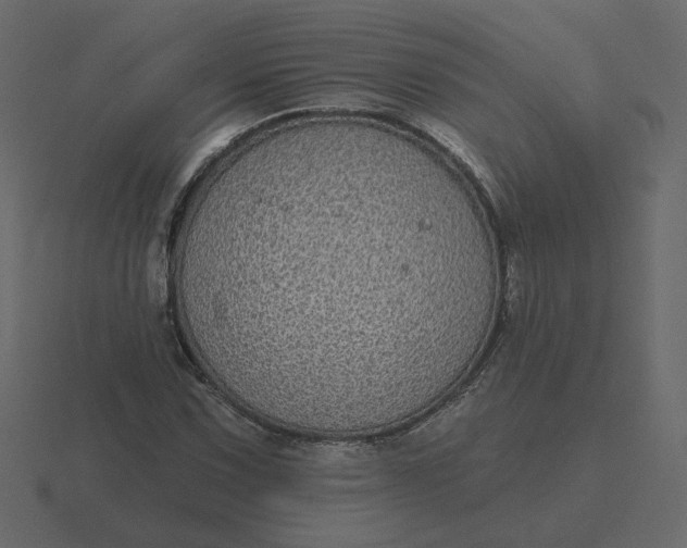 X0000116571067200912241630