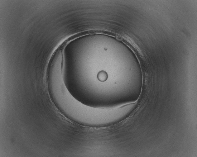 X0000116571068200912241630