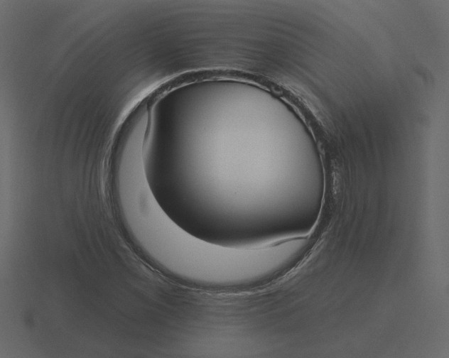 X0000116571069200912241630