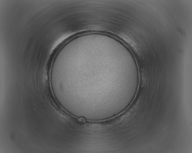 X0000116571070200912241630