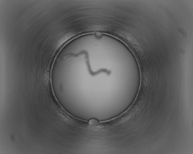 X0000116571073200912241630