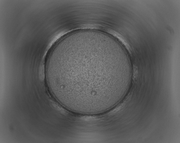 X0000116571075200912241630