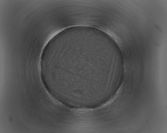 X0000116571077200912241630