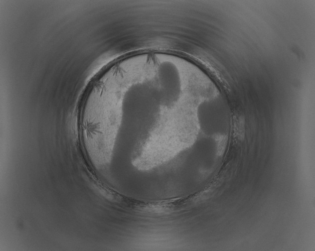 X0000116571078200912241630