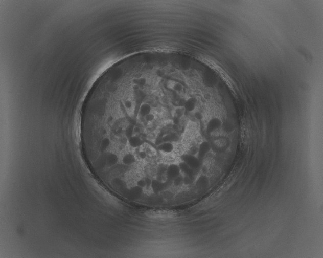 X0000116571083200912241630