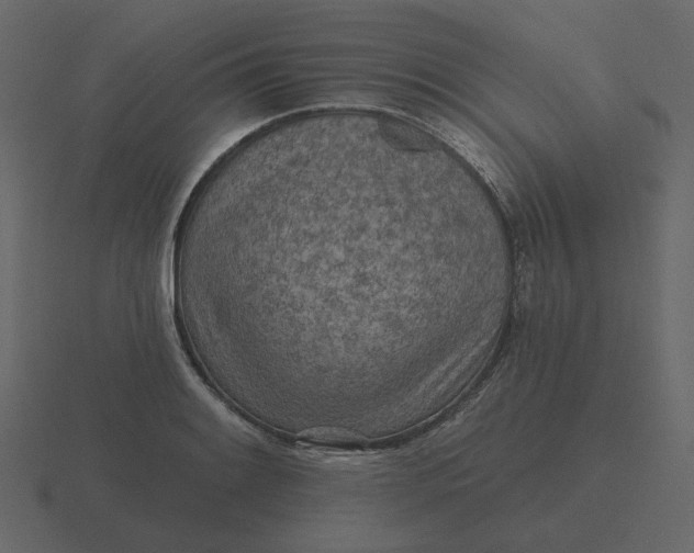 X0000116571084200912241630