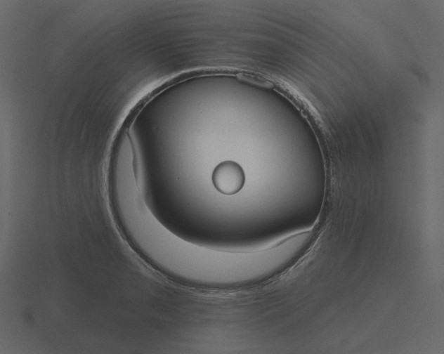 X0000116571085200912241630