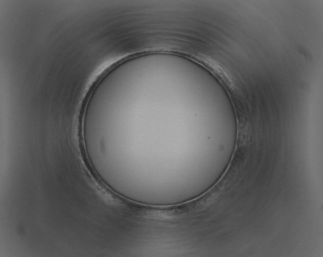 X0000116571086200912241630