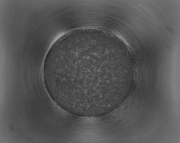 X0000116571087200912241630