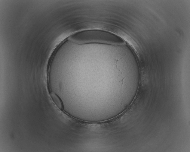 X0000116571088200912241630