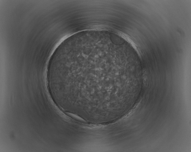 X0000116571091200912241630