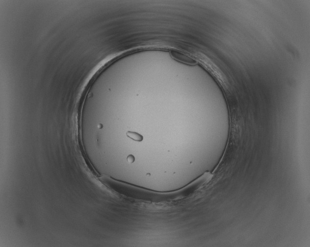 X0000116571092200912241630