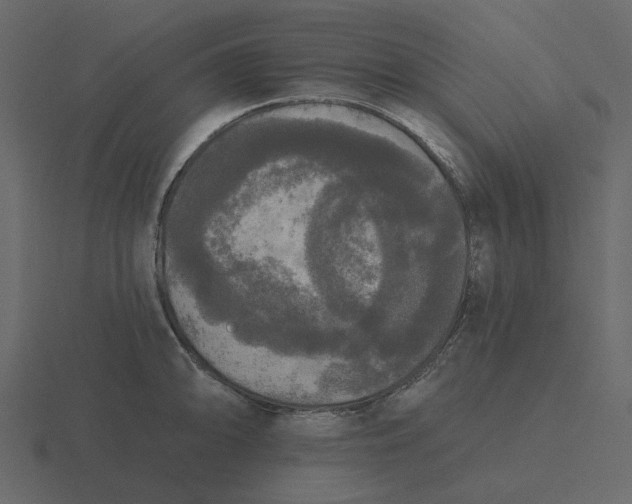 X0000116571094200912241630