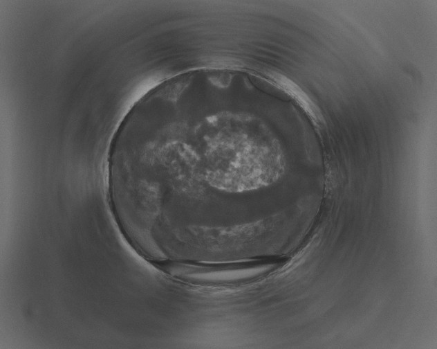 X0000116571095200912241630