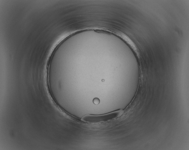 X0000116571096200912241630