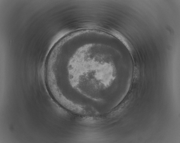 X0000116571098200912241630