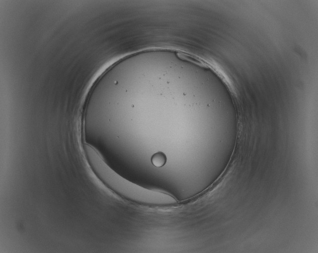 X0000116571100200912241630