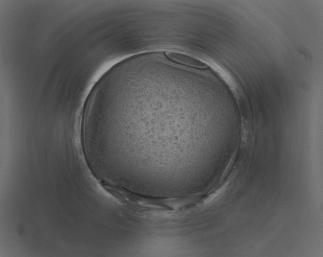 X0000116571102200912241630