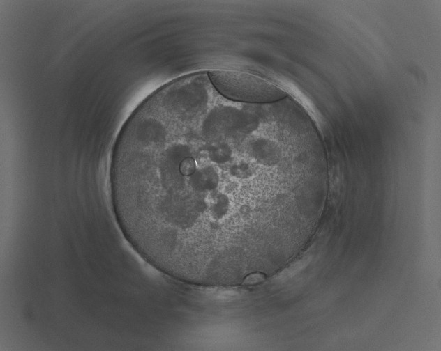 X0000116571103200912241630