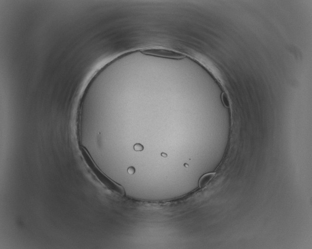 X0000116571104200912241630