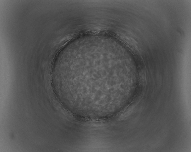 X0000116571105200912241629