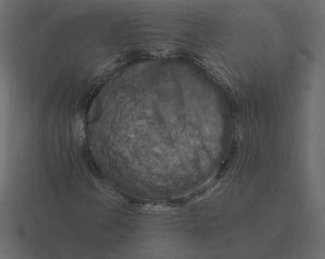 X0000116571106200912241629