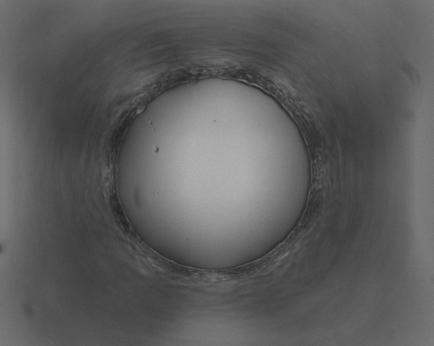 X0000116571109200912241629