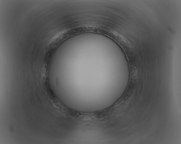 X0000116571110200912241629