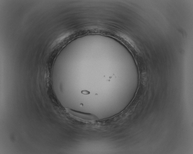 X0000116571111200912241629