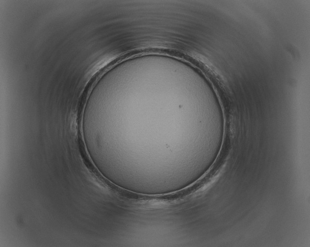 X0000116571113200912241629