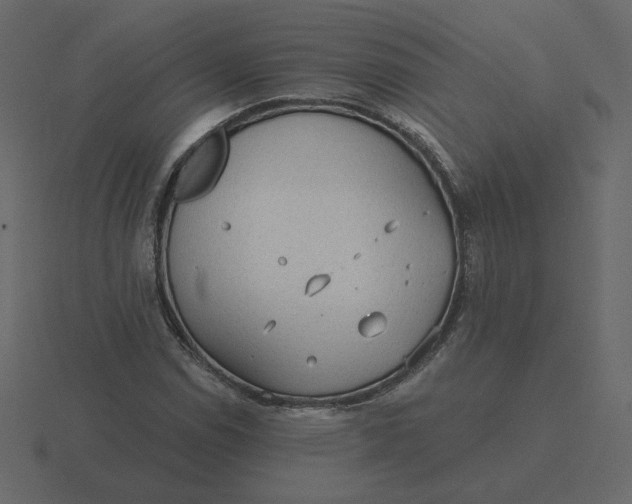 X0000116571114200912241629