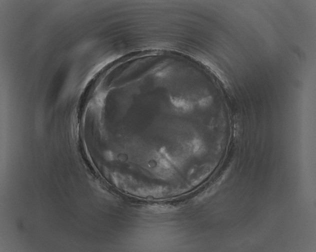 X0000116571117200912241629