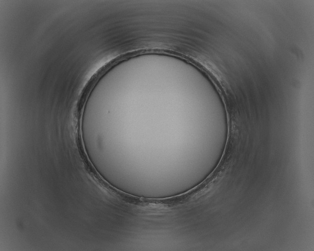 X0000116571119200912241629