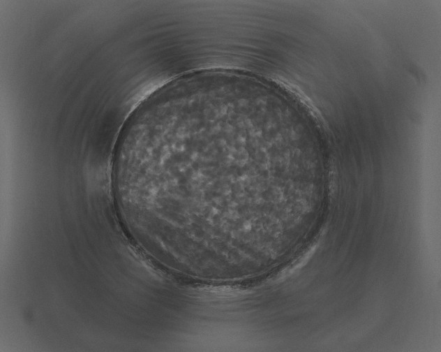 X0000116571121200912241629