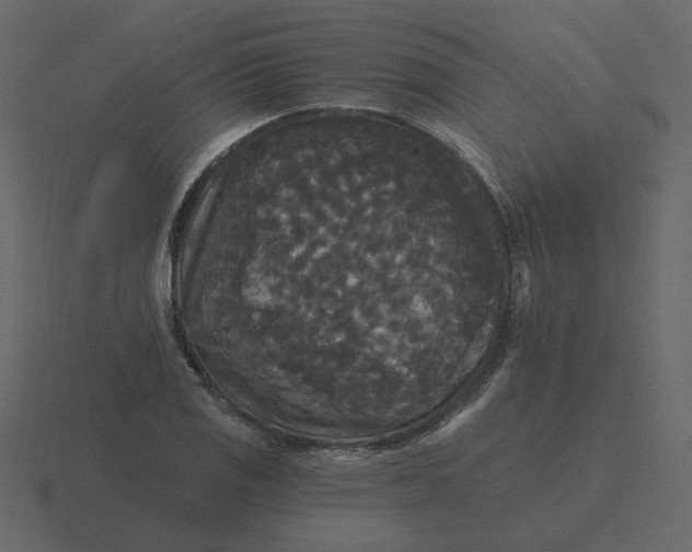 X0000116571125200912241629