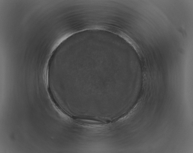 X0000116571127200912241629