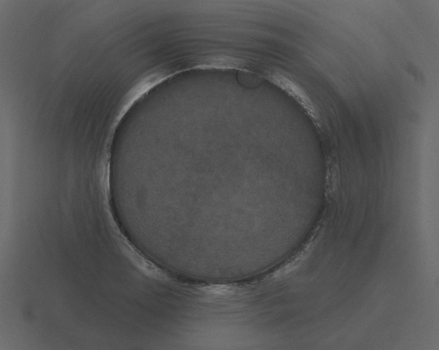 X0000116571130200912241629