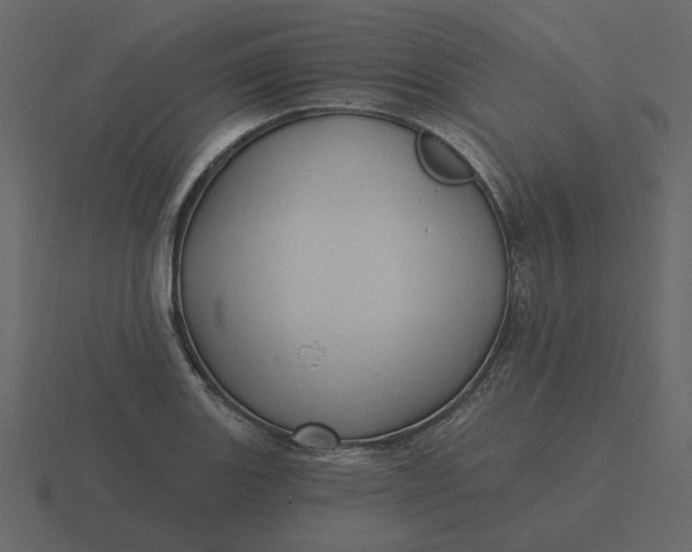 X0000116571131200912241629