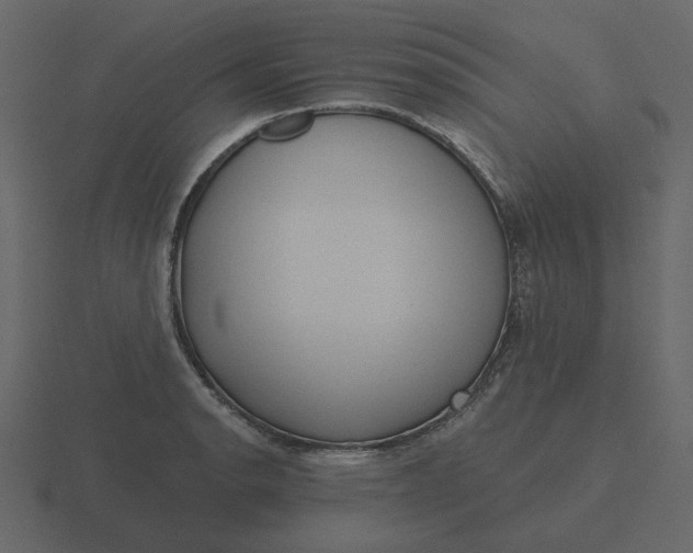 X0000116571134200912241629