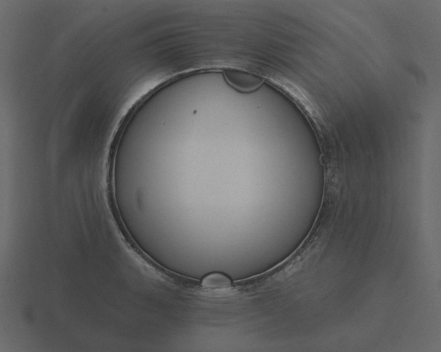 X0000116571135200912241629