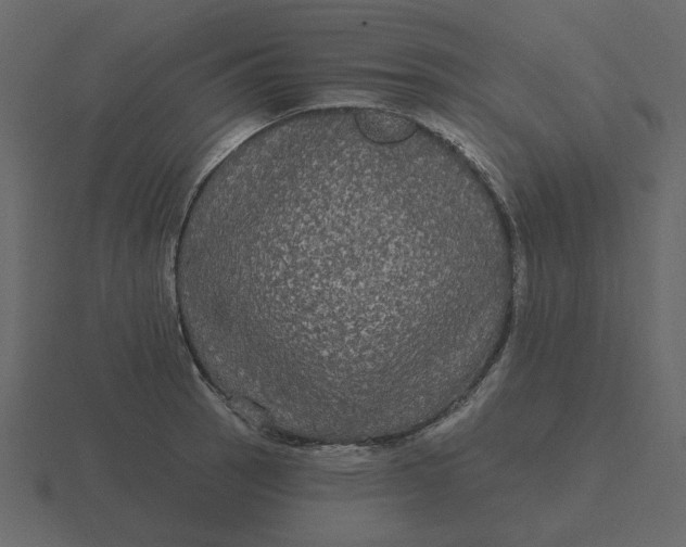 X0000116571137200912241629