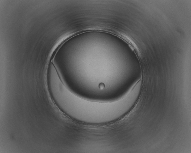 X0000116571138200912241629