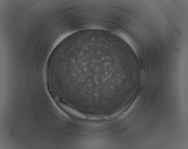 X0000116571141200912241629