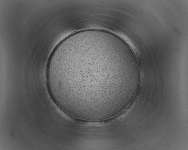 X0000116571142200912241629