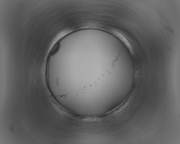 X0000116571146200912241629