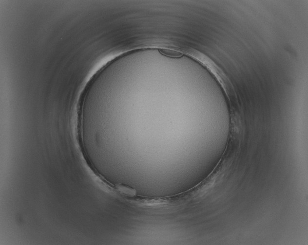 X0000116571147200912241629